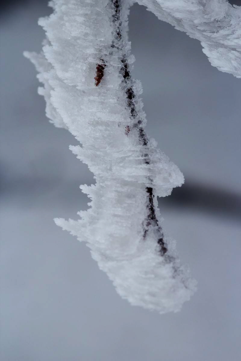 IMG_2013_02_27_00006972a_Bildgr��e �ndern