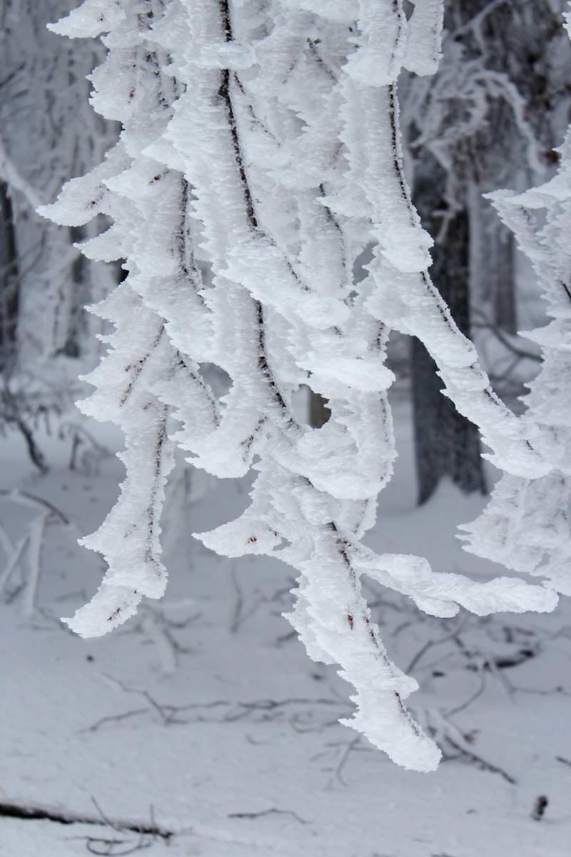 IMG_2013_02_27_00006985a_Bildgr��e �ndern