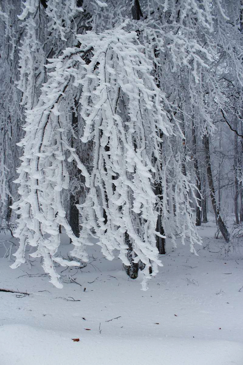 IMG_2013_02_27_00006988a_Bildgr��e �ndern