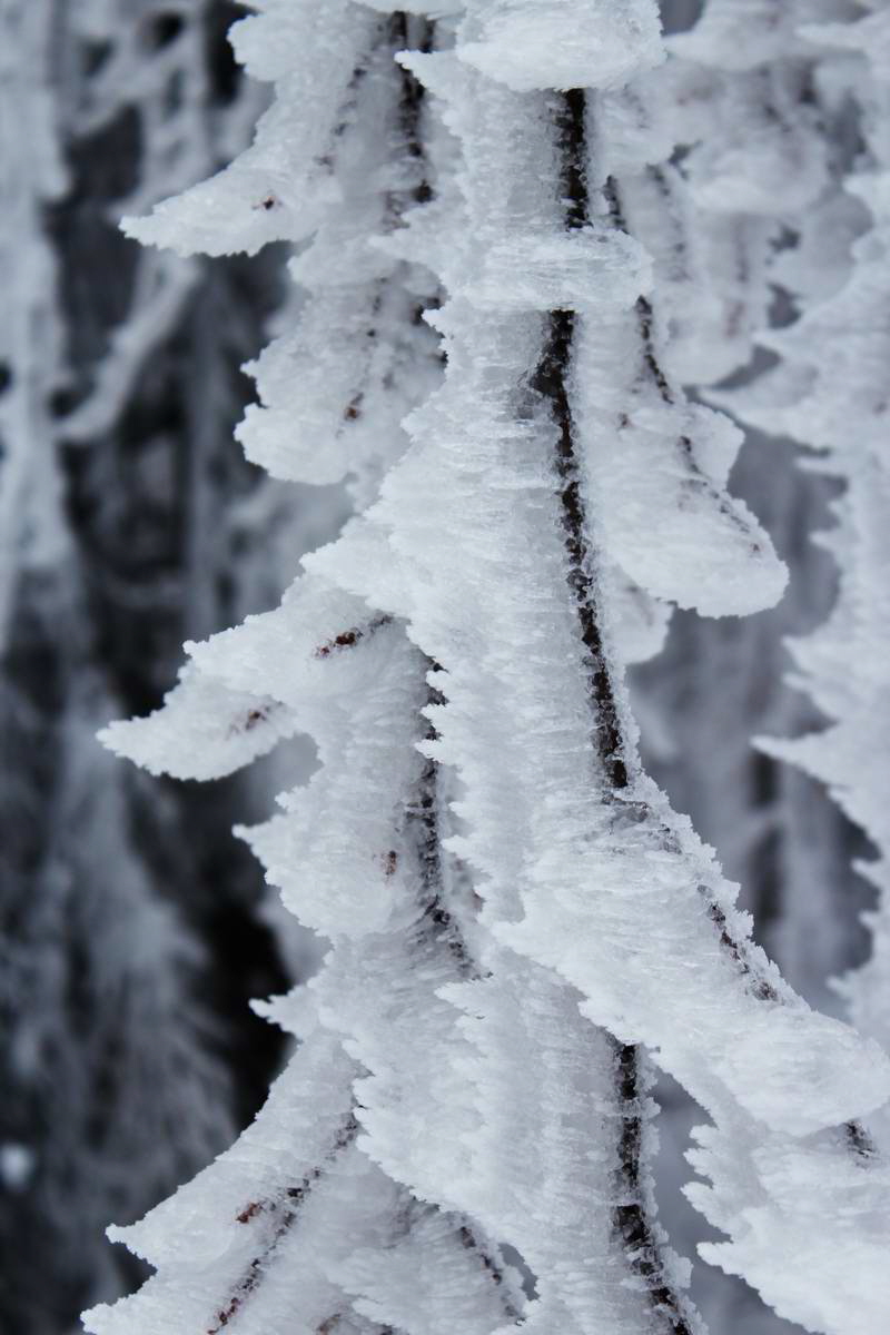 IMG_2013_02_27_00007002a_Bildgr��e �ndern