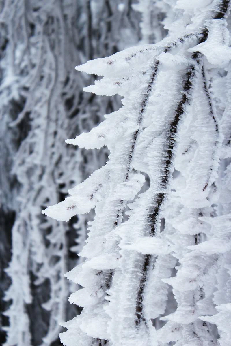 IMG_2013_02_27_00007006a_Bildgr��e �ndern