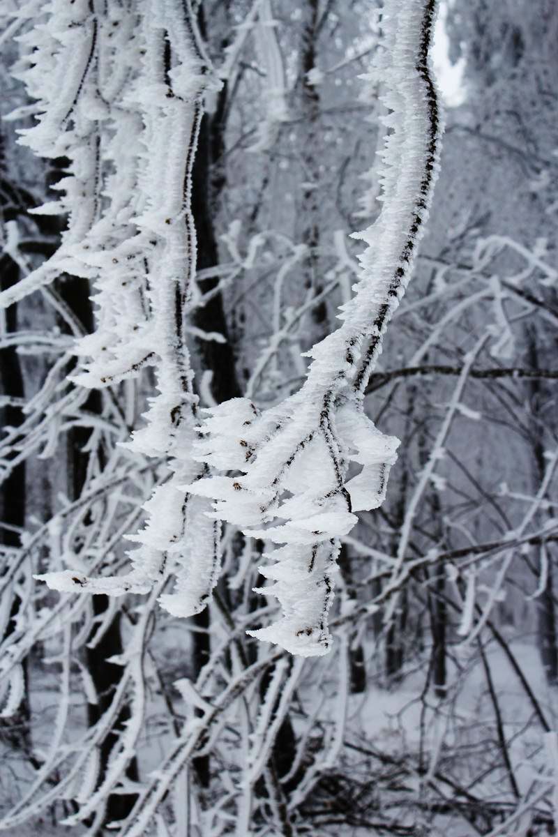 IMG_2013_02_27_00007033a_Bildgr��e �ndern