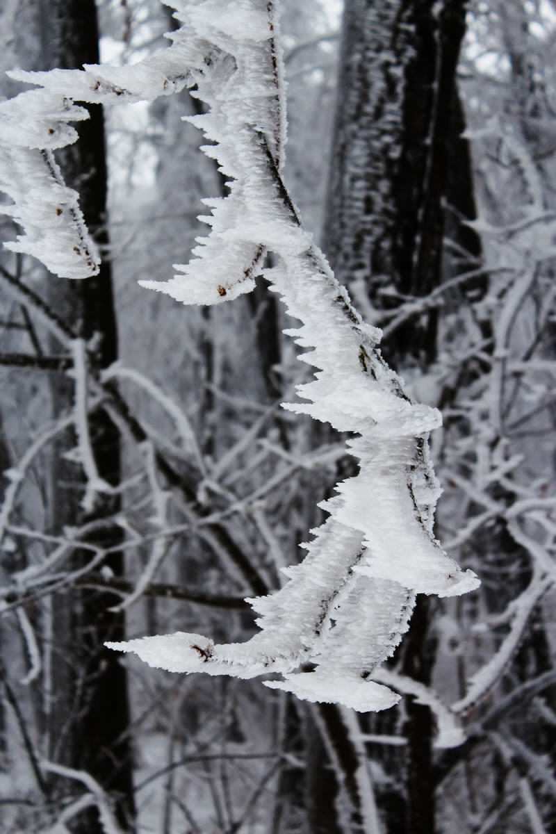 IMG_2013_02_27_00007044a_Bildgr��e �ndern