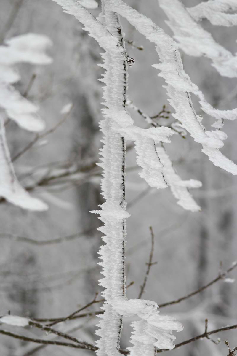 IMG_2013_02_27_00007058a_Bildgr��e �ndern