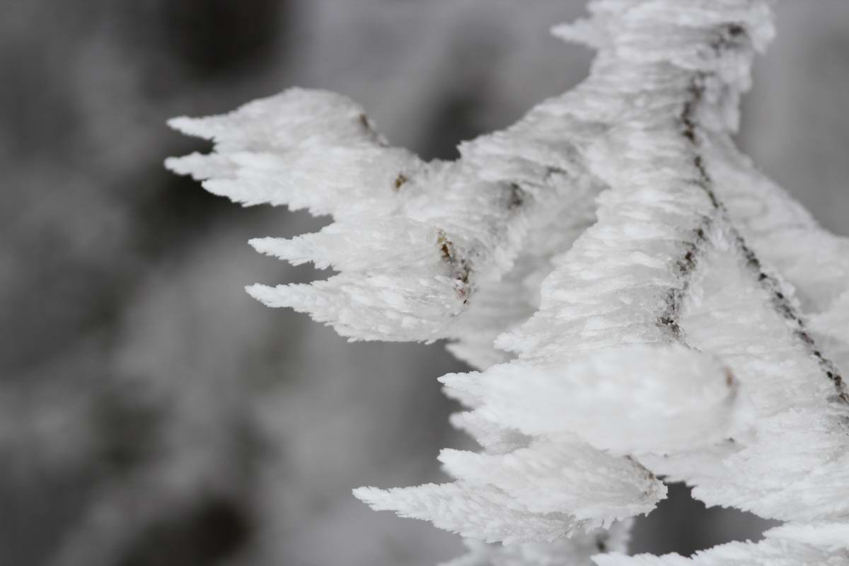 IMG_2013_02_27_00007060a_Bildgr��e �ndern