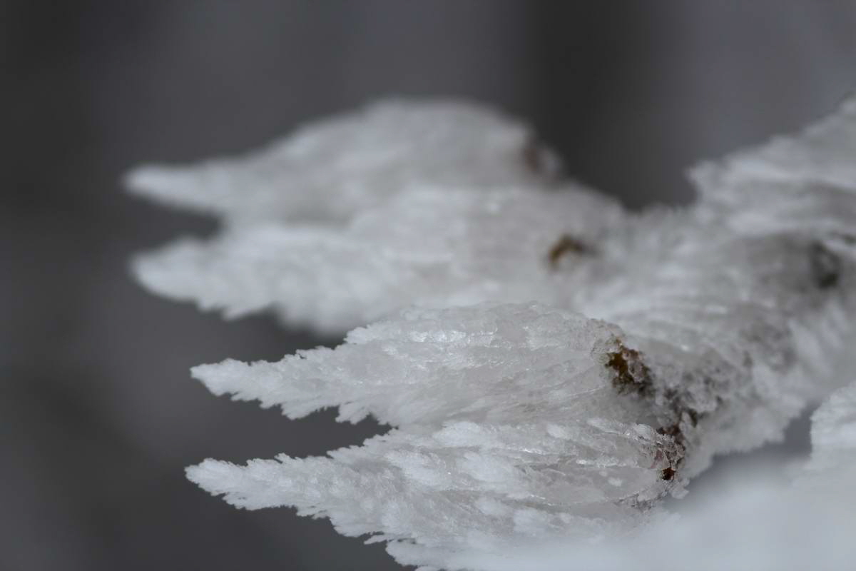 IMG_2013_02_27_00007124a_Bildgr��e �ndern