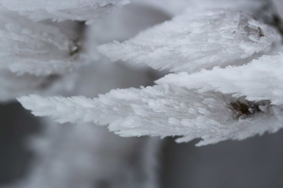 IMG_2013_02_27_00007130a_Bildgr��e �ndern