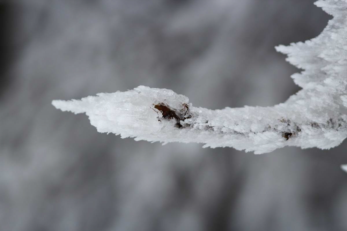 IMG_2013_02_27_00007135a_Bildgr��e �ndern