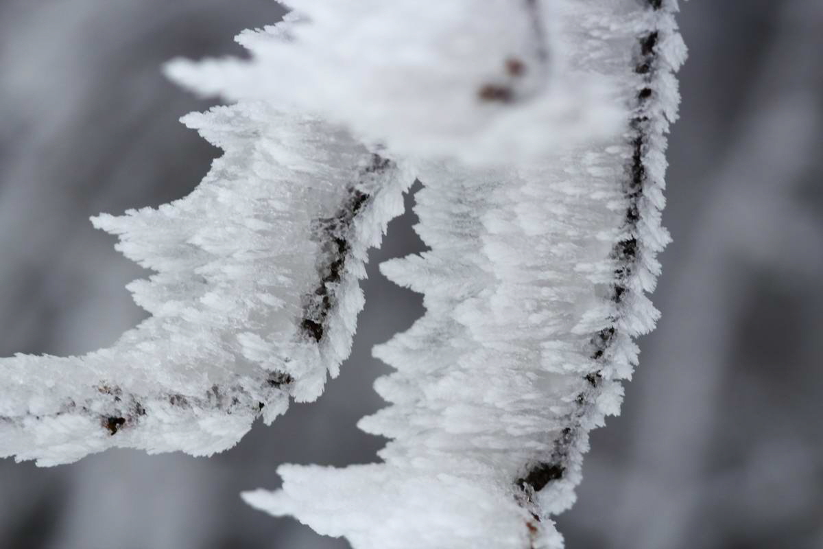 IMG_2013_02_27_00007140a_Bildgr��e �ndern