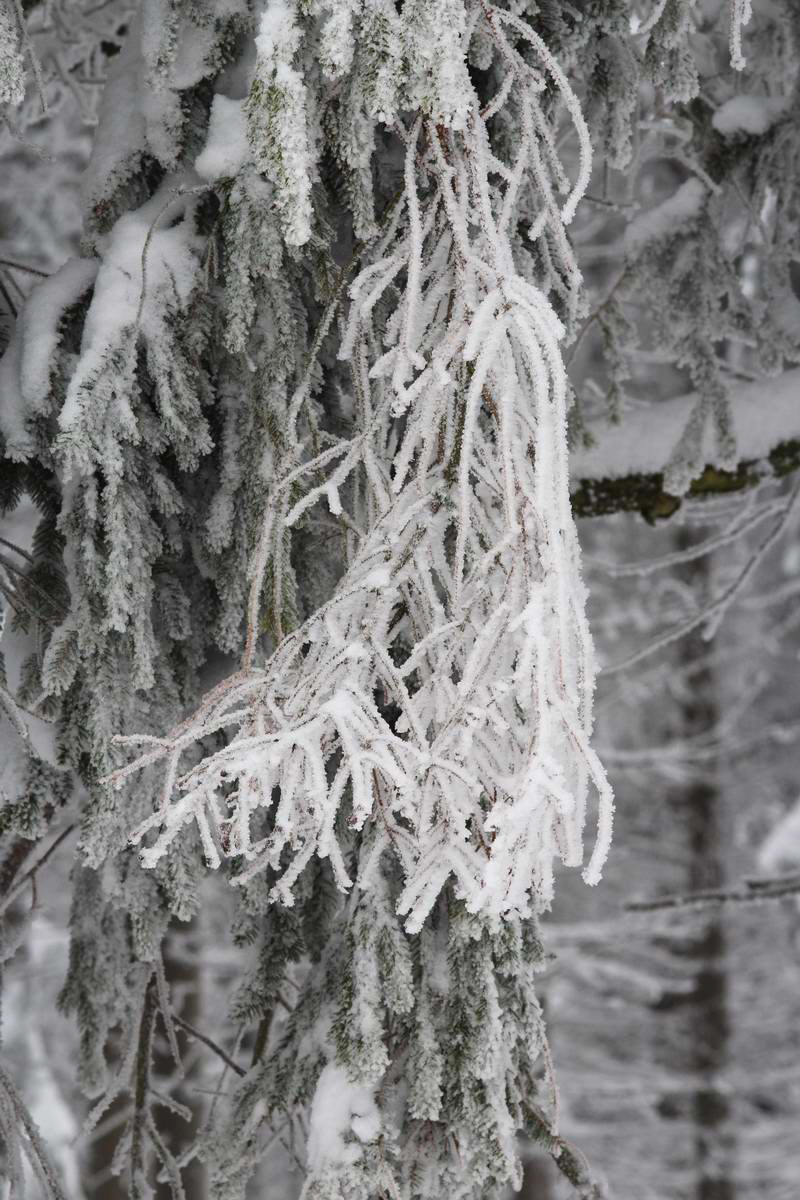 IMG_2013_02_28_00007218a_Bildgr��e �ndern