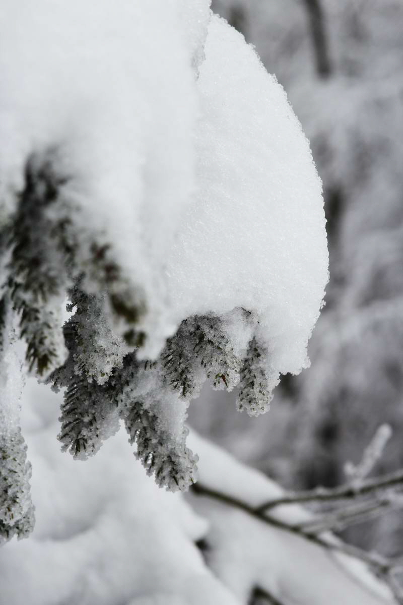 IMG_2013_02_28_00007220a_Bildgr��e �ndern