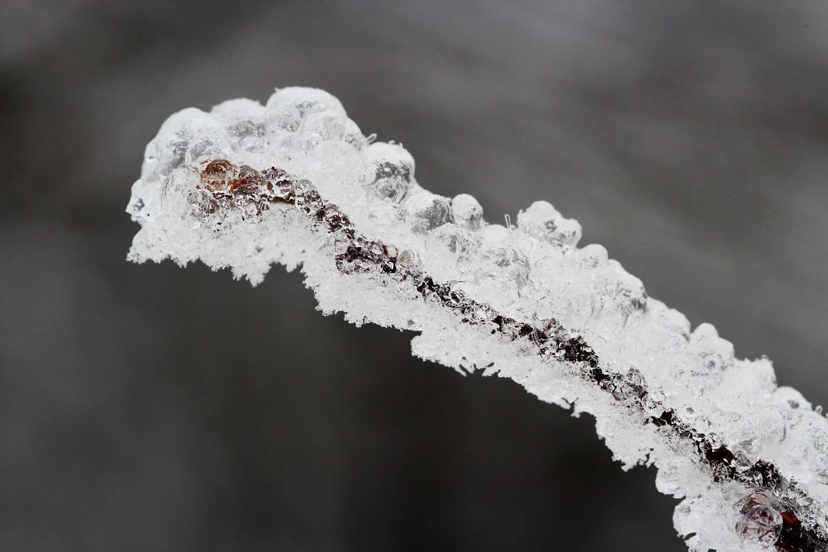 IMG_2013_02_28_00007226a_Bildgr��e �ndern