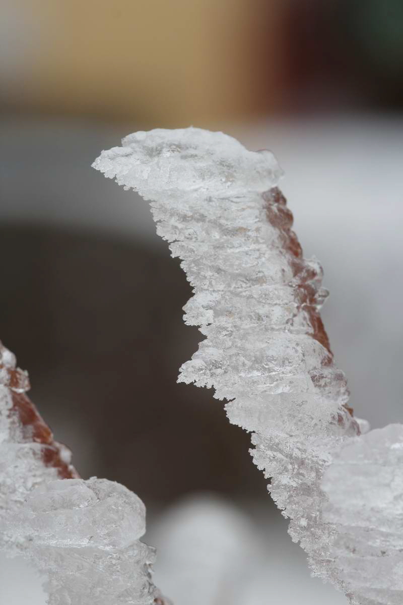 IMG_2013_02_28_00007327a_Bildgr��e �ndern