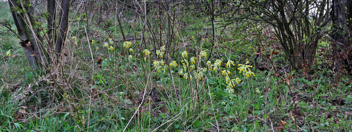 [Group 18]-2014_04_01_00039151_2014_04_01_00039156-2 imagesp_Bildgr��e �ndern