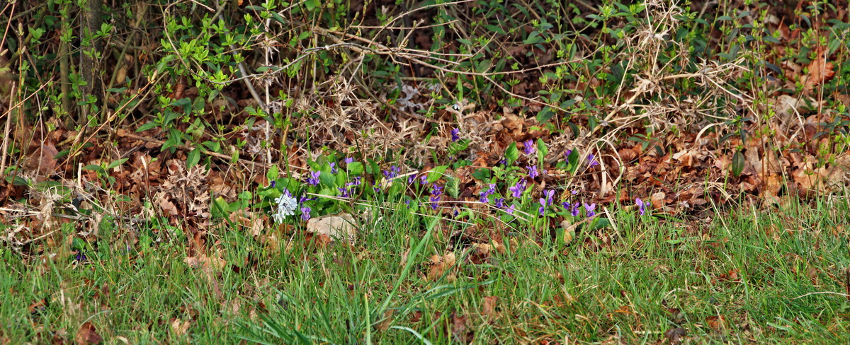 [Group 22]-2014_04_01_00039261_2014_04_01_00039264-2 imagesp_Bildgr��e �ndern