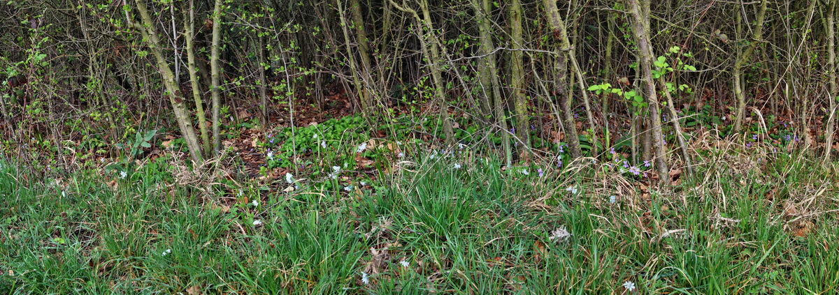 [Group 4]-2014_04_01_00039184_2014_04_01_00039202-6 imagesp_Bildgr��e �ndern