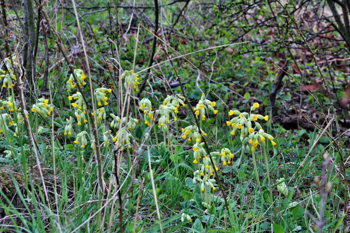 2014_04_01_00039146p_Bildgr��e �ndern