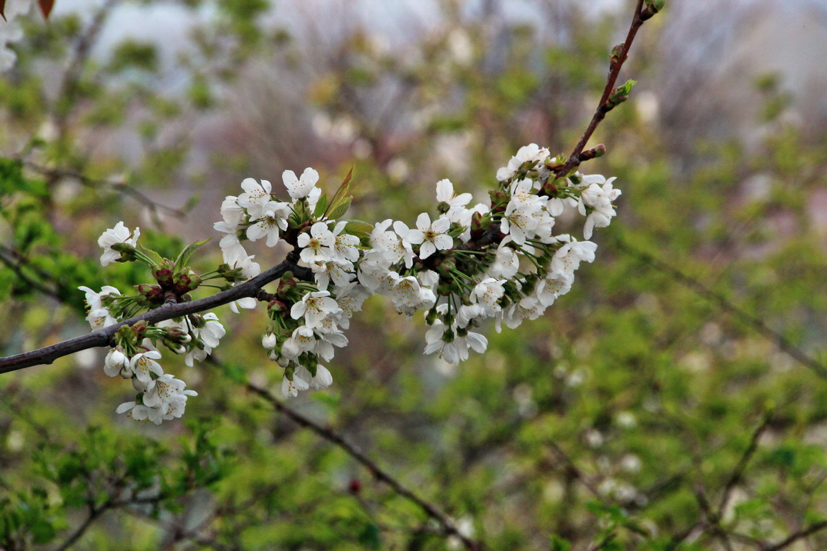 2014_04_01_00039171p_Bildgr��e �ndern