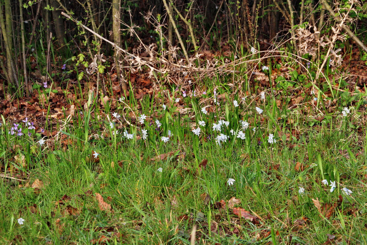 2014_04_01_00039266p_Bildgr��e �ndern