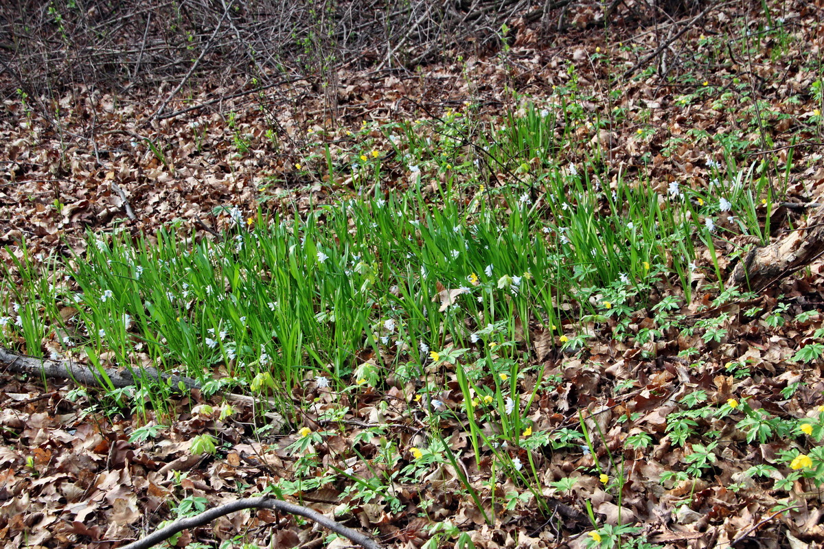 2014_04_01_00039269p_Bildgr��e �ndern