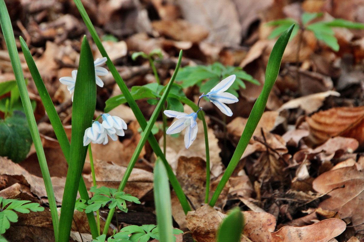 2014_04_01_00039272p_Bildgr��e �ndern