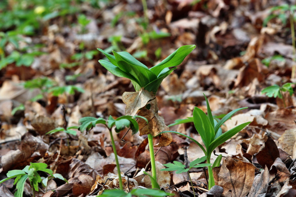 2014_04_01_00039281p_Bildgr��e �ndern