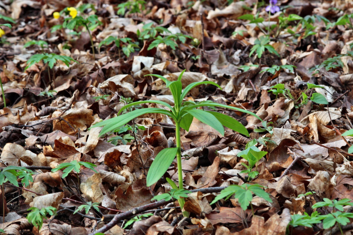 2014_04_01_00039284p_Bildgr��e �ndern