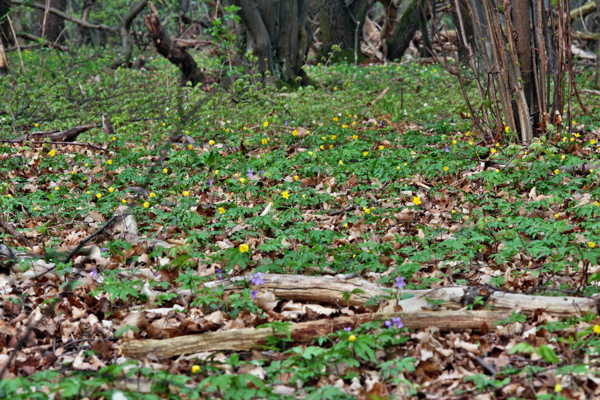 2014_04_01_00039286p_Bildgr��e �ndern