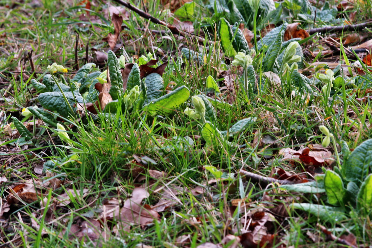 2014_04_01_00039291p_Bildgr��e �ndern