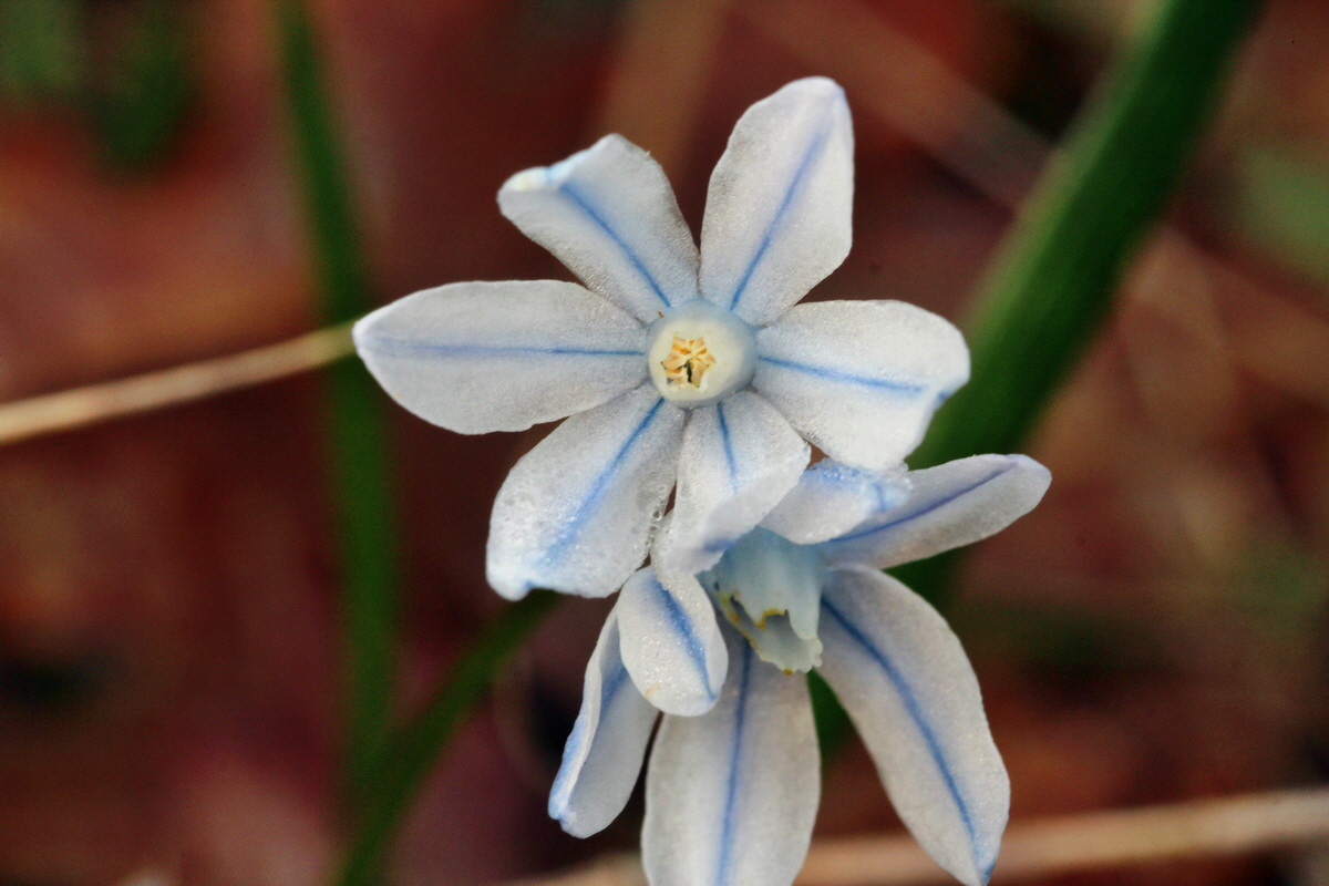 2014_04_01_00039298p_Bildgr��e �ndern