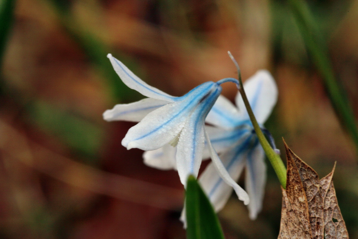 2014_04_01_00039302p_Bildgr��e �ndern