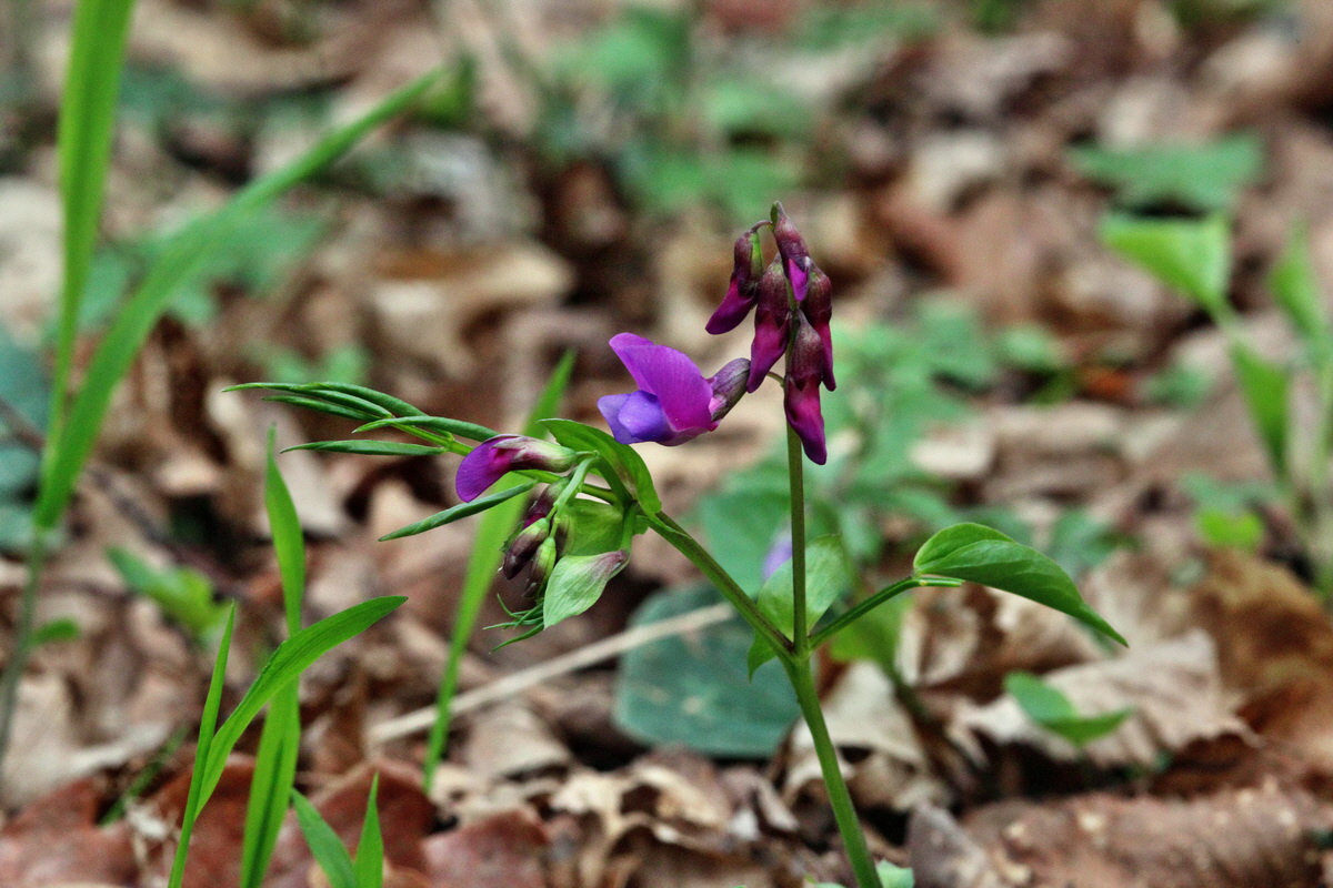 2014_04_01_00039322p_Bildgr��e �ndern