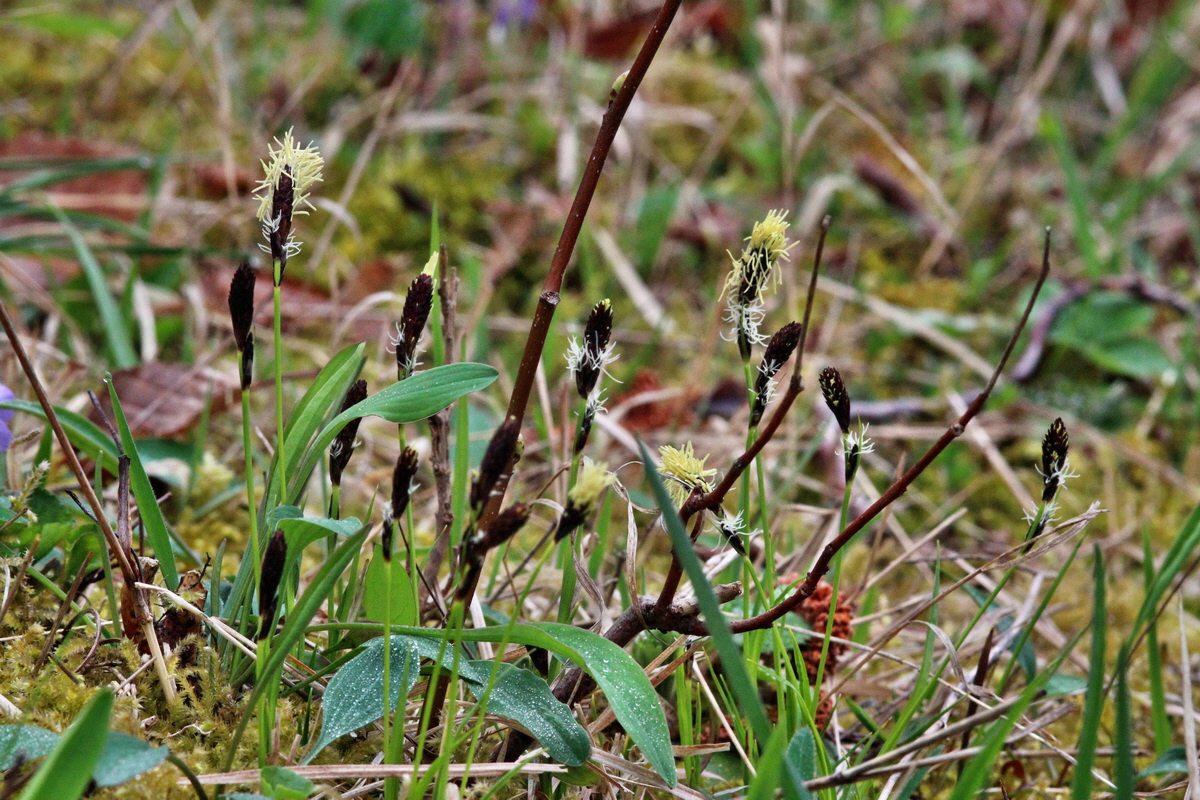 2014_04_01_00039326p_Bildgr��e �ndern