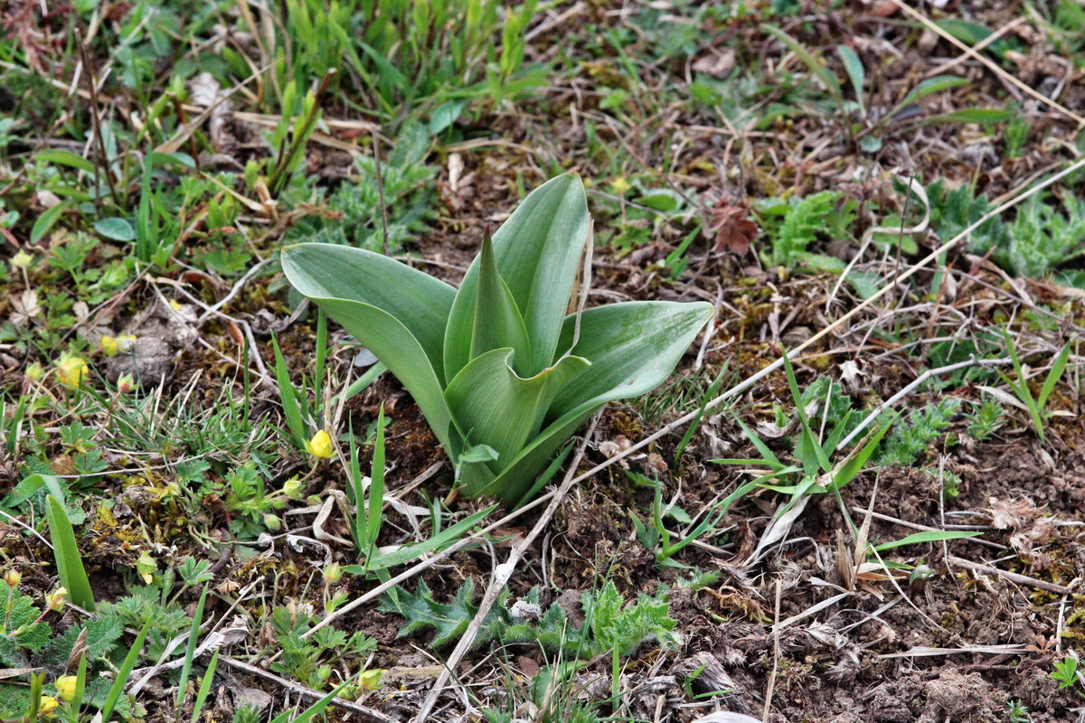 2014_04_01_00039329p_Bildgr��e �ndern