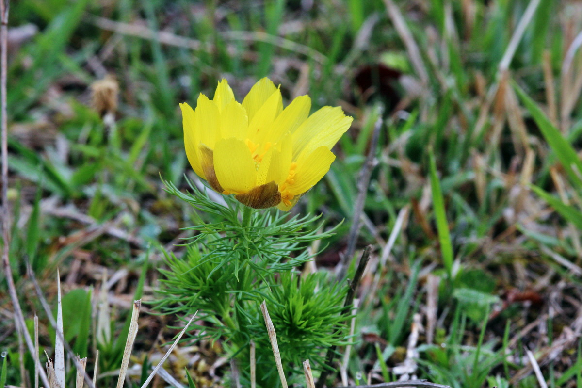 2014_04_01_00039332p_Bildgr��e �ndern