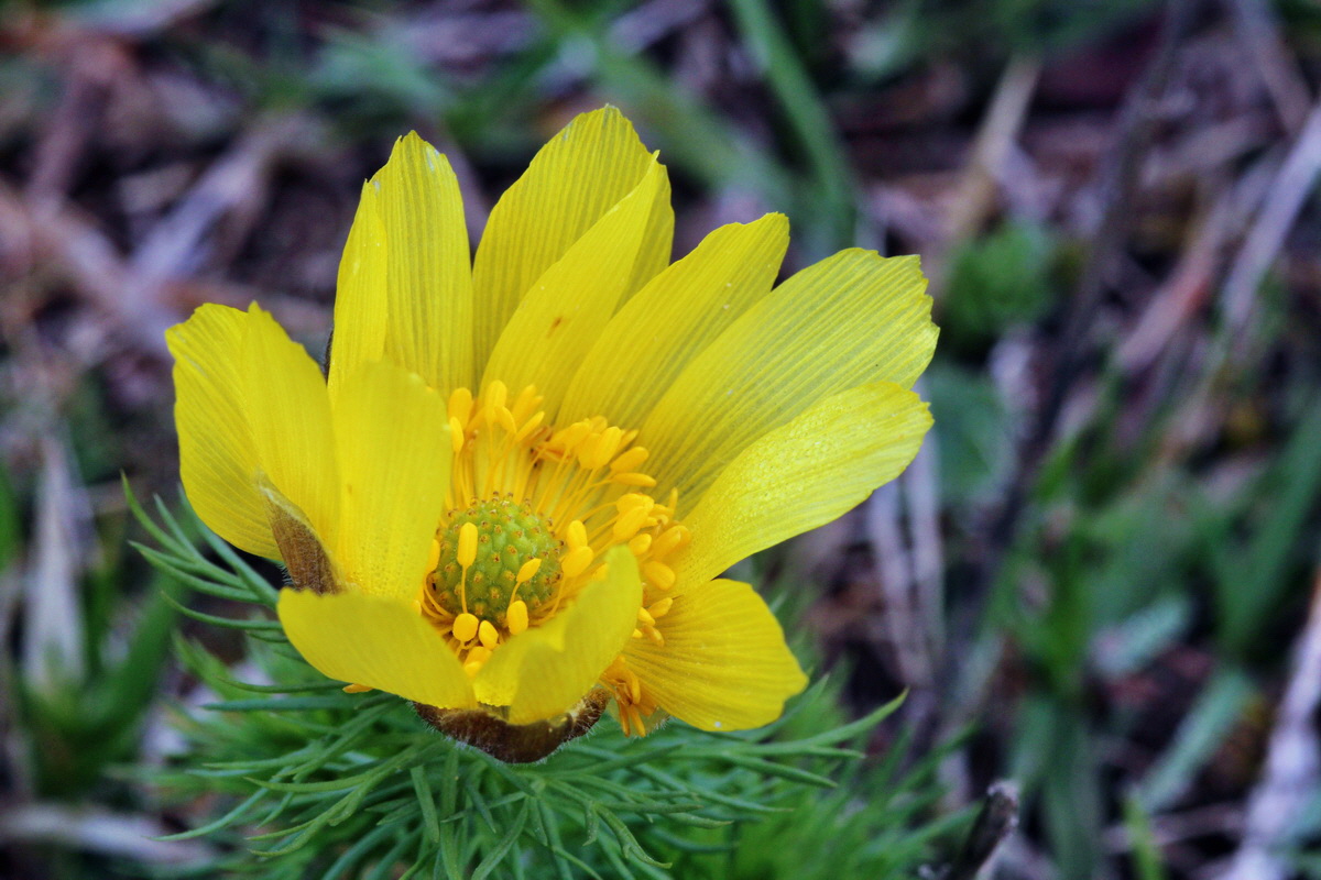 2014_04_01_00039337p_Bildgr��e �ndern