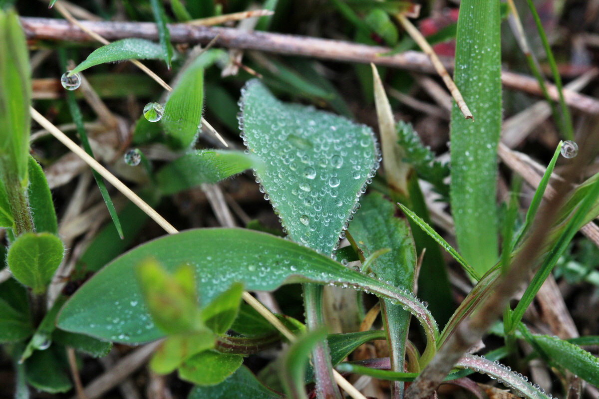 2014_04_01_00039340p_Bildgr��e �ndern