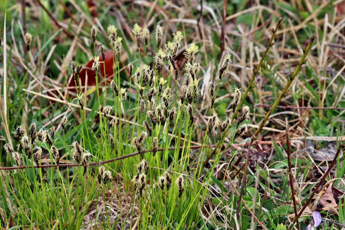 2014_04_01_00039346p_Bildgr��e �ndern