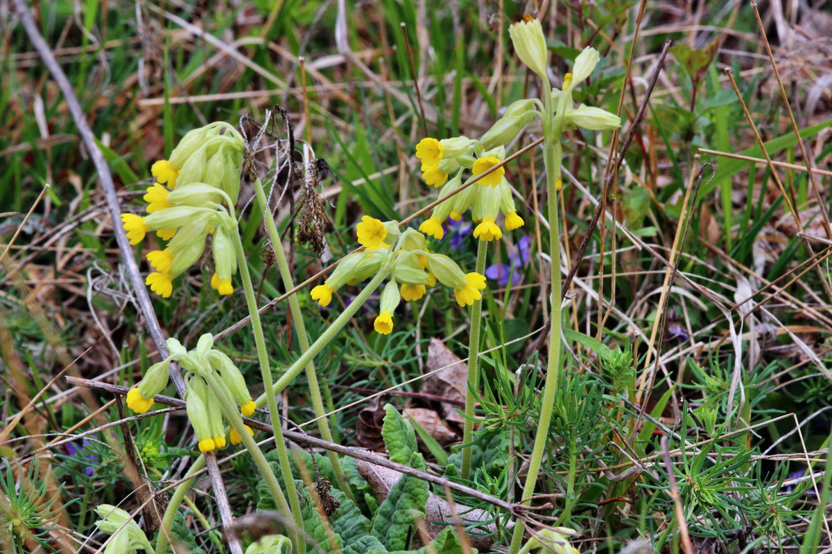 2014_04_01_00039358p_Bildgr��e �ndern