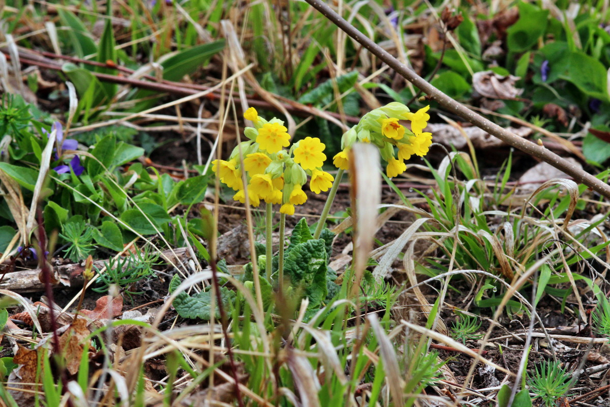 2014_04_01_00039360p_Bildgr��e �ndern