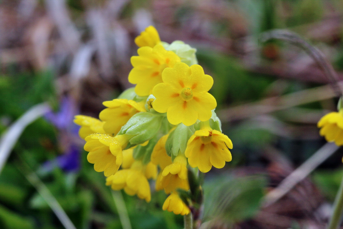 2014_04_01_00039361p_Bildgr��e �ndern