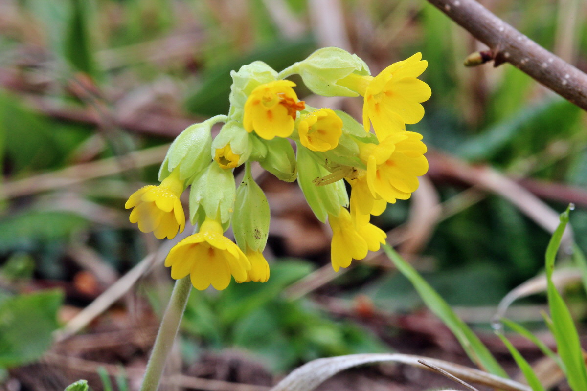 2014_04_01_00039364p_Bildgr��e �ndern