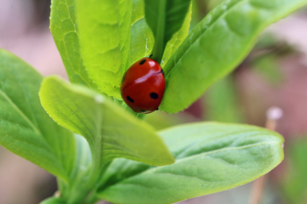 2014_04_01_00039369p_Bildgr��e �ndern