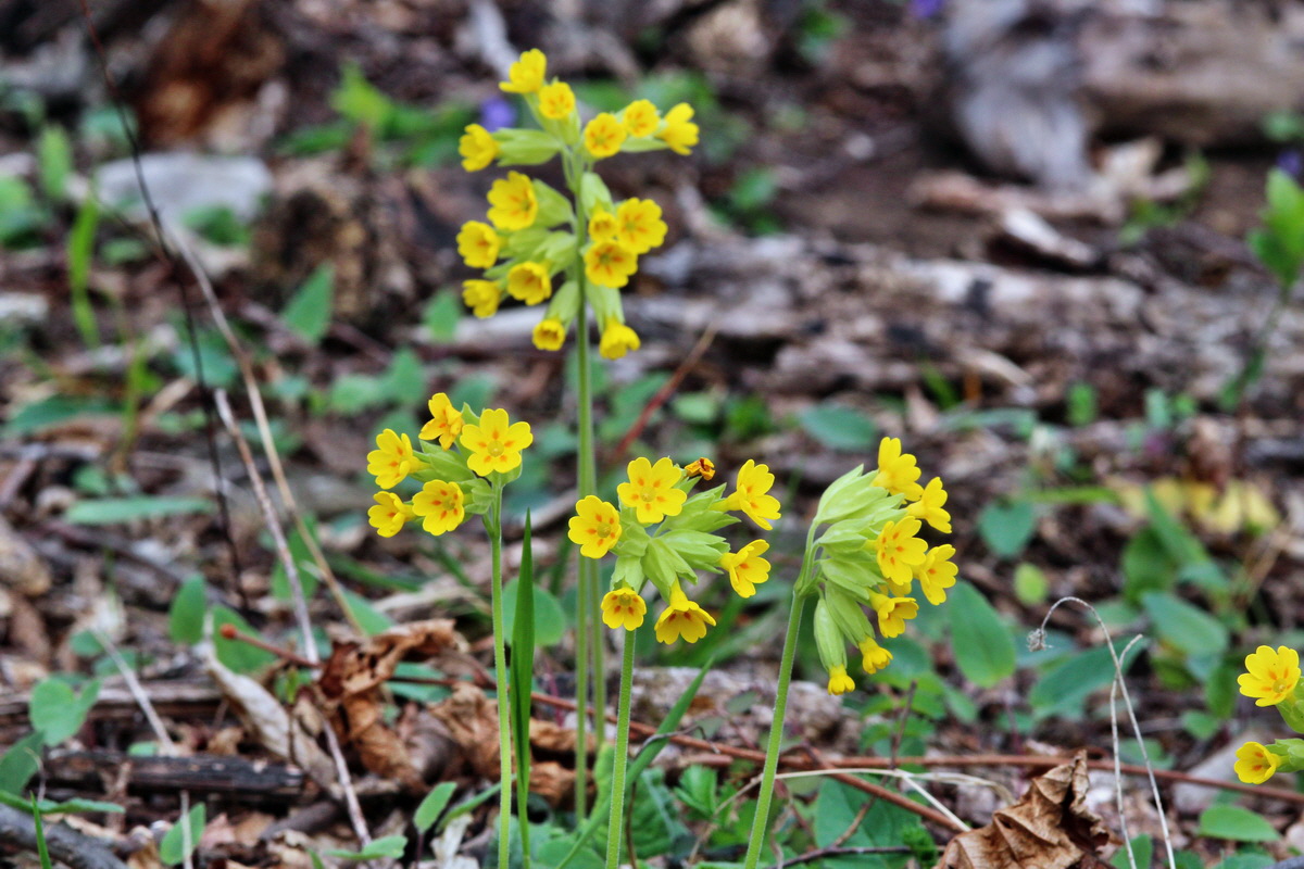 2014_04_01_00039374p_Bildgr��e �ndern