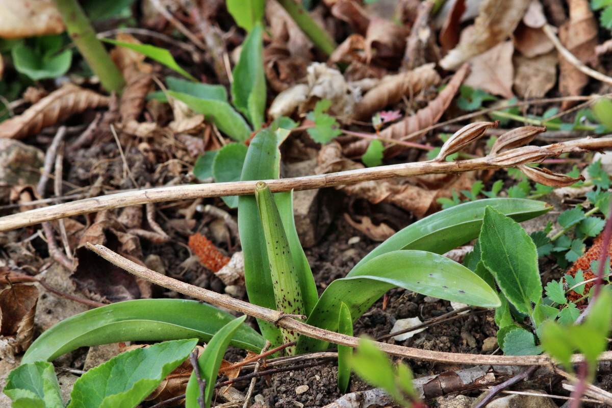 2014_04_01_00039377p_Bildgr��e �ndern