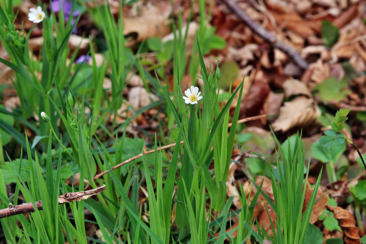 2014_04_01_00039389p_Bildgr��e �ndern