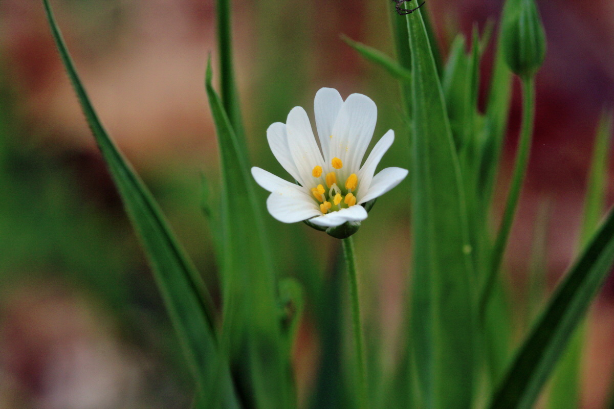 2014_04_01_00039393p_Bildgr��e �ndern