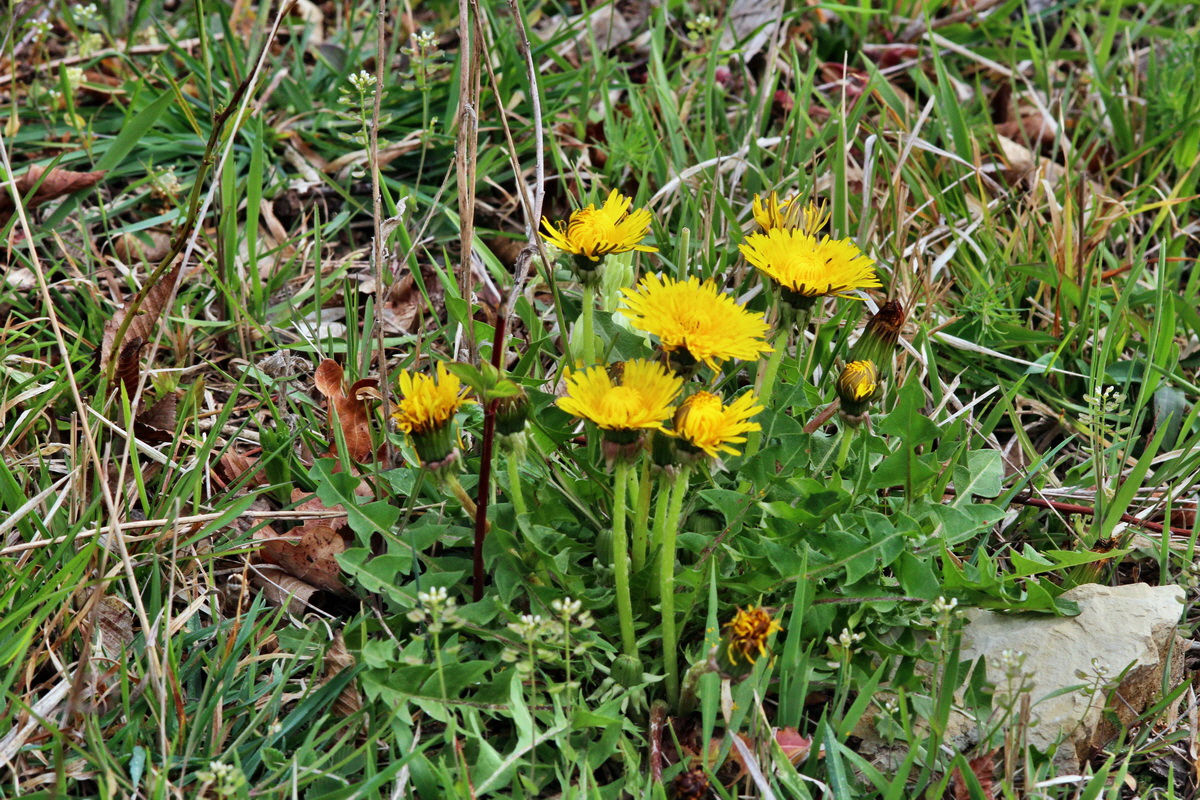 2014_04_01_00039411p_Bildgr��e �ndern