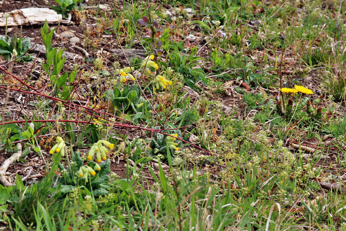 2014_04_01_00039412p_Bildgr��e �ndern