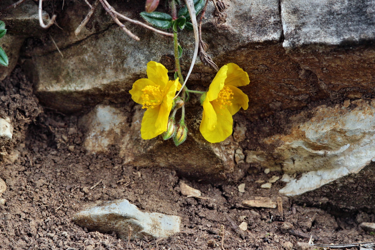 2014_04_01_00039422p_Bildgr��e �ndern